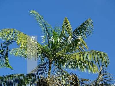 交了诉讼费了 交了诉讼费了