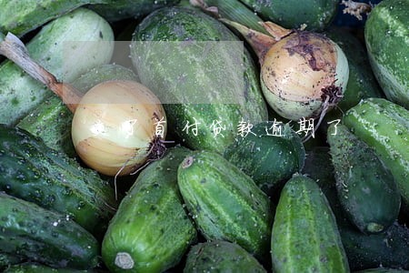 交了首付贷款逾期了 交了首付贷款逾期了