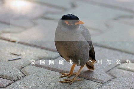 交保险逾期1个月怎么办 交保险逾期1个月怎么办