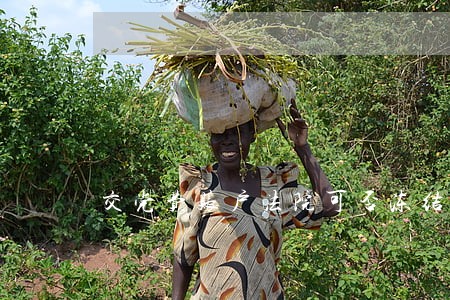 交党费账户法院可否冻结