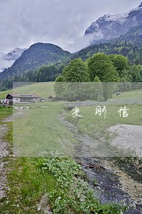 交刚信用卡逾期怎么换卡