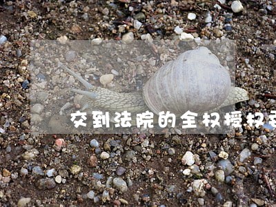 交到法院的全权授权委托书范本 交到法院的全权授权委托书范本