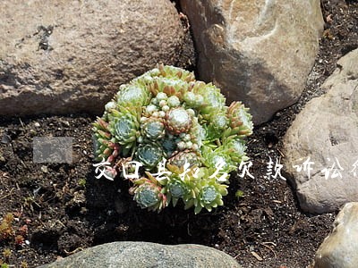 交口县知名欠款诉讼律师 交口县知名欠款诉讼律师