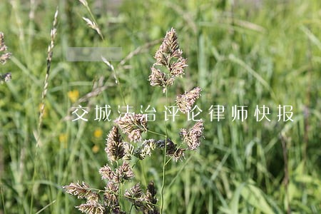 交城法治评论律师快报 交城法治评论律师快报