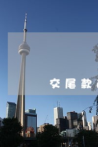 交尾款逾期10多天违约金怎么办 交尾款逾期10多天违约金怎么办