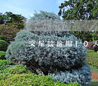 交尾款逾期10天违约金怎么办 交尾款逾期10天违约金怎么办