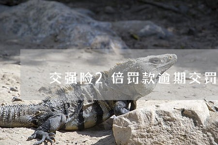 交强险2倍罚款逾期交罚款 交强险2倍罚款逾期交罚款