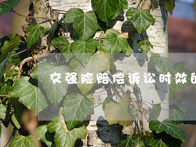 交强险赔偿诉讼时效的起算 交强险赔偿诉讼时效的起算