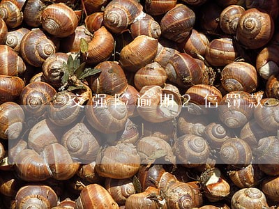 交强险逾期2倍罚款