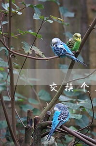 交换个人信息违法吗