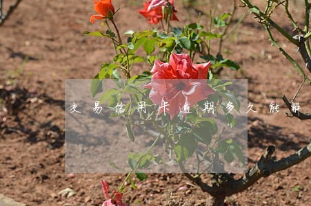 交易信用卡逾期多久能解封 交易信用卡逾期多久能解封