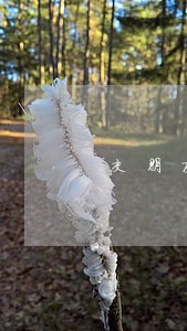 交朋友怎么约女人违法吗 交朋友怎么约女人违法吗