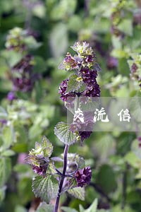 交流信用卡逾期的群 交流信用卡逾期的群