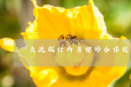 交流探讨两岸律师合作契机及模式