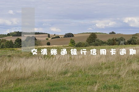 交清账通银行信用卡逾期年底 交清账通银行信用卡逾期年底