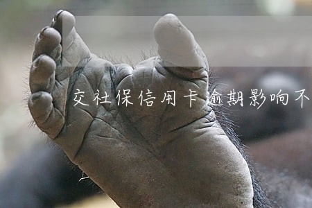 交社保信用卡逾期影响不 交社保信用卡逾期影响不