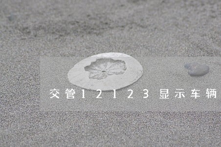 交管12123显示车辆检验逾期 交管12123显示车辆检验逾期