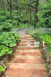 交管123不是我的车显示违法
