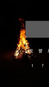 交管局违法查询/2023020107317 交管局违法查询/2023020107317