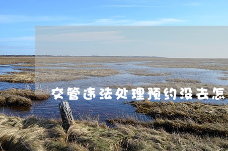 交管违法处理预约没去怎么办 交管违法处理预约没去怎么办