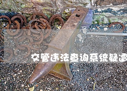 交管违法查询系统疑遭入侵 交管违法查询系统疑遭入侵
