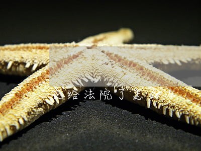 交给法院了怎么办 交给法院了怎么办