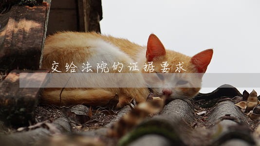 交给法院的证据要求 交给法院的证据要求