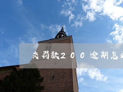 交罚款200逾期怎么交