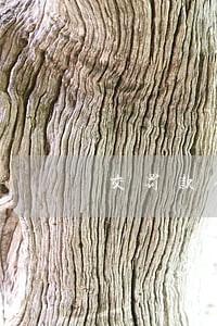 交罚款银行不收现金违法吗 交罚款银行不收现金违法吗