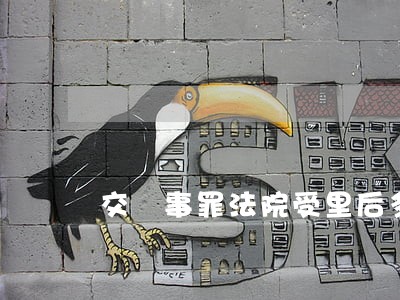 交肈事罪法院受里后多久下达传票 交肈事罪法院受里后多久下达传票