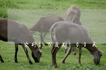 交行1万逾期100天 交行1万逾期100天