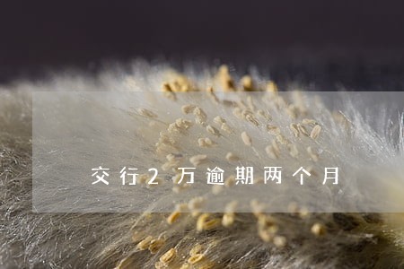 交行2万逾期两个月 交行2万逾期两个月