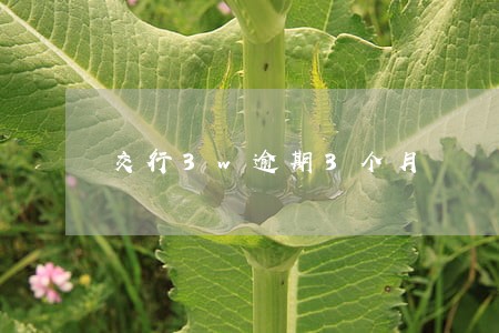 交行3w逾期3个月