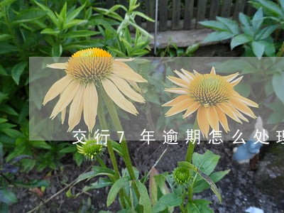 交行7年逾期怎么处理