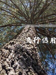 交行信用付逾期七天多久恢复 交行信用付逾期七天多久恢复