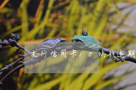 交行信用卡10块钱逾期