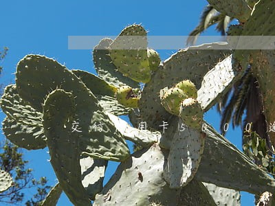 交行信用卡5000逾期 交行信用卡5000逾期