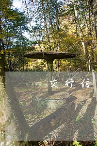 交行信用卡不小心逾期6天 交行信用卡不小心逾期6天