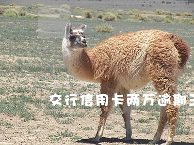 交行信用卡两万逾期三个星期