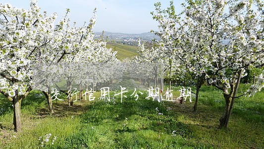 交行信用卡分期逾期 交行信用卡分期逾期