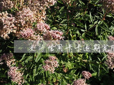 交行信用卡卡逾期宽限 交行信用卡卡逾期宽限