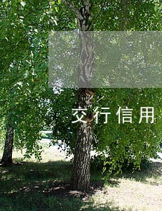 交行信用卡多少天算逾期 交行信用卡多少天算逾期
