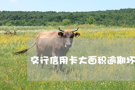 交行信用卡大面积逾期坏账 交行信用卡大面积逾期坏账