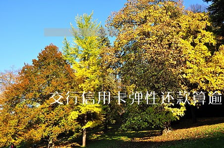 交行信用卡弹性还款算逾期吗