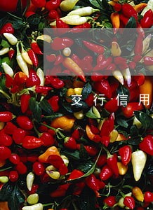 交行信用卡晚还两天算逾期吗 交行信用卡晚还两天算逾期吗