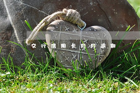 交行信用卡月月逾期 交行信用卡月月逾期