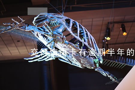 交行信用卡有逾期半年的吗 交行信用卡有逾期半年的吗