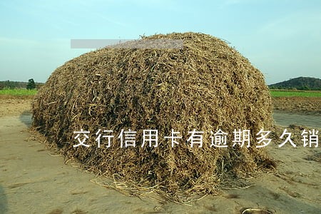 交行信用卡有逾期多久销卡 交行信用卡有逾期多久销卡