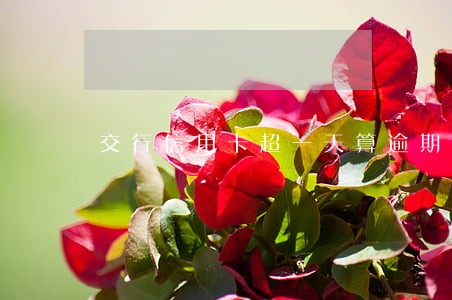 交行信用卡超一天算逾期吗 交行信用卡超一天算逾期吗