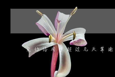 交行信用卡超过几天算逾期 交行信用卡超过几天算逾期